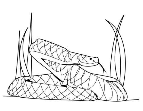 Fantasy fairyland royal python colorful and vector. Free Printable Snake Coloring Pages For Kids