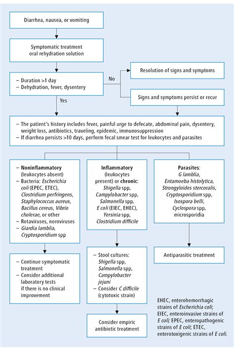 Acute Infectious Diarrhea Gastrointestinal Infections And Parasitic