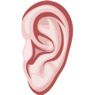 ear png free download 3 | PNG Images Download | ear png free download 3 pictures Download | ear ...