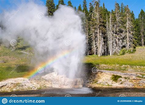 Riverside Geyser In Yellowstone National Park Erupts On A Sunny Day