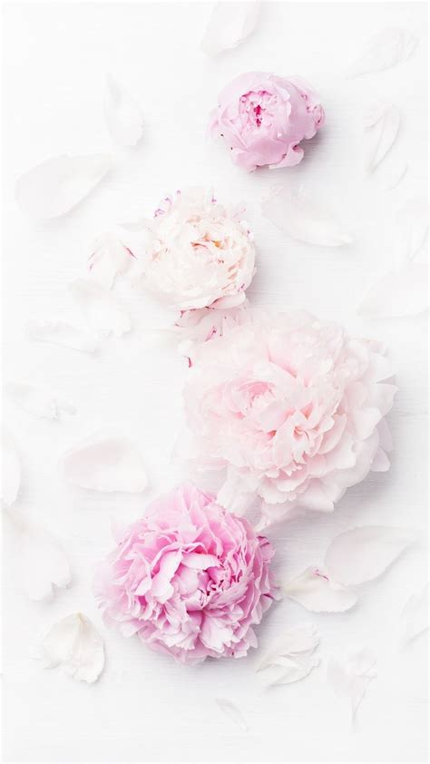 12 Gorgeous Floral Iphone Xs Wallpapers Preppy Wallpapers Floral