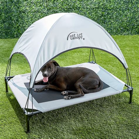 Dog Bed With Canopy Uk Top 10 Best Outdoor Dog Beds With Canopy My