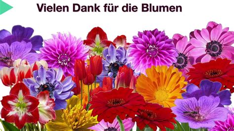 Dankeschon Bilder Mit Blumen Test 5