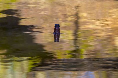 Bottle In Water Free Stock Photo Public Domain Pictures