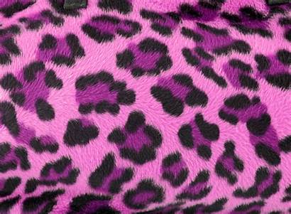 Pink Leopard Background Fur Zebra Cheetah Purple