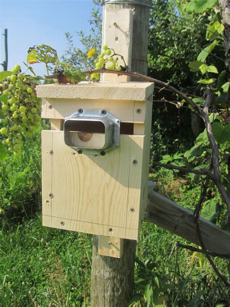 Eaton Rapids Joe Nest Boxes For Tree Swallows