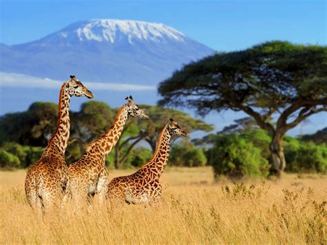 Viaggi E Tour In Kenya