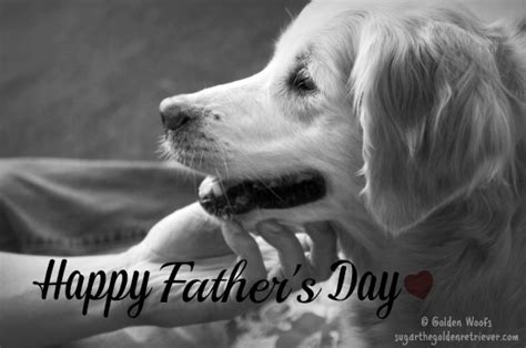 Happy Fathers Day Golden Woofs