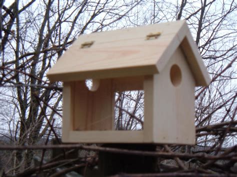 Owl house plans free bird nest box world sanctuary building bo curbstone valley the attracting screech owls to kestrel and wood duck 70birds birdhouse invite into your backyard conservation saw whet amazing bluebirds across nebraska. Screech Owl House Plans: How to Build a Screech Owl Box ...