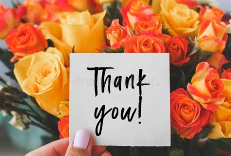 1336 Thank You Orange Photos Free And Royalty Free Stock Photos From