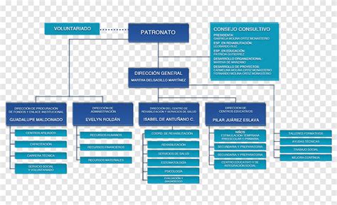 Home Depot Organizational Structure Chart