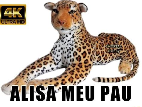 Alisa Meu Pau Ifunny Brazil