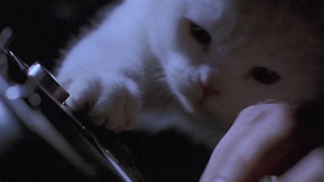 Inspector Gadget 1999 Cinema Cats