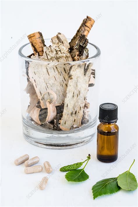 Birch Essential Oil Stock Image C0401296 Science Photo Library