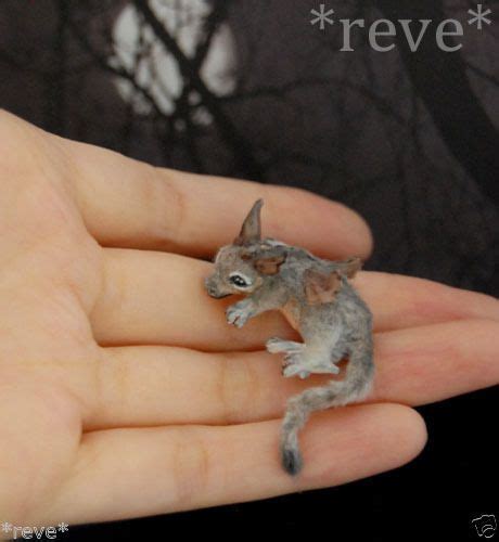 Ooak Realistic ~ Baby Dragon ~ Handmade Miniature