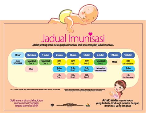 Supaya antibodi tersebut terbentuk dengan sempurna, diperlukan pemberian imunisasi sesuai dengan jadwal. IMUNISASI TAMBAHAN UNTUK BAYI DI BAWAH UMUR 1 TAHUN