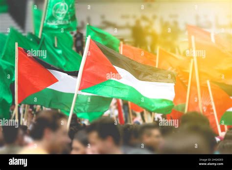 Palestine Flags Waved By Palestinian People In The Air With Hamas Flags