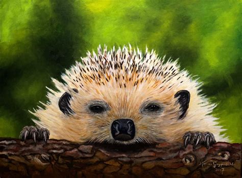 Undsätzlich muss ein igel außerhalb der nahrungsarmen zeit nicht gefüttert werden. Igel im Garten - Hannes Guggenbühl