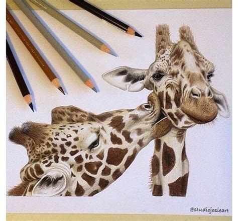 I'm going to show you how to draw a giraffe realistically. Pin by Sejal Jannu on Things I should draw | Giraffe art ...