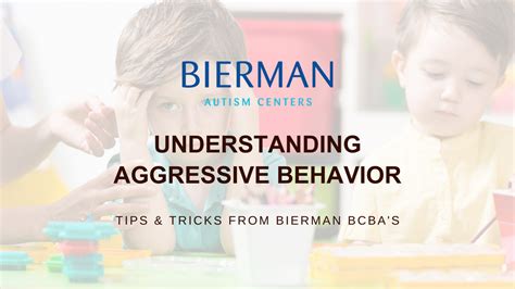 Understanding Aggressive Behavior And Children With Autism Bierman