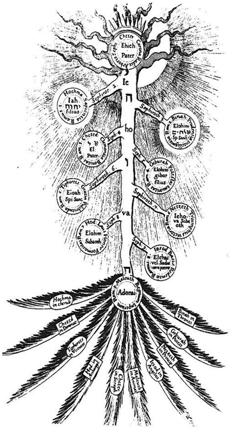 Fullmetal Alchemist Brotherhood Tree Of Life Ile Ilgili G Rsel Sonucu