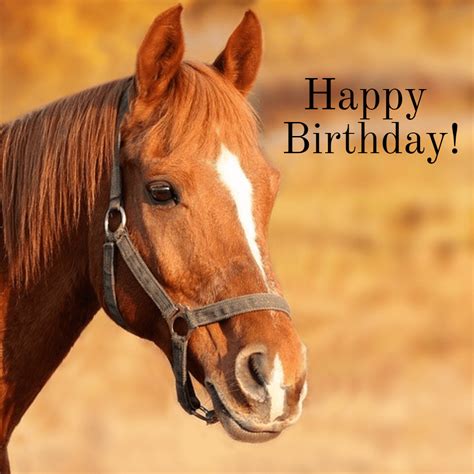 Happy Birthday Images With Horses💐 — Free Happy Bday Pictures And