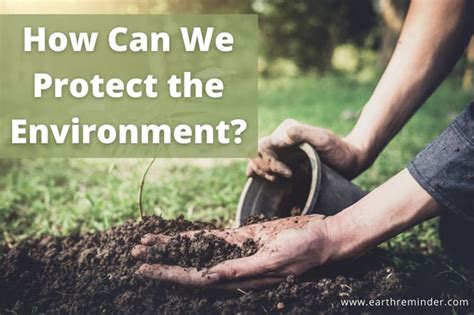 Top 10 Easy Ways To Protect The Environment Earth Reminder