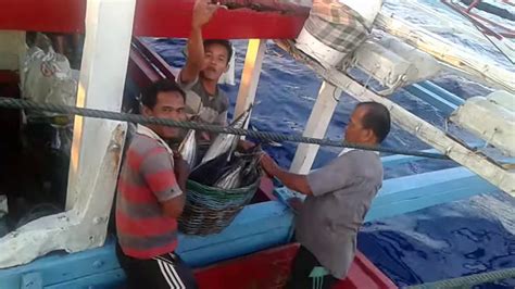 Sebanyak 25% wanita pesisir beraktivitas sebagai pedagang hasil perikanan (ikan segar, ikan asin, dan terasi); Ikan besar berhasil di tangkap😲 - YouTube