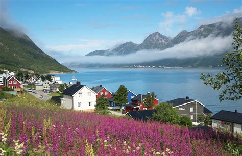 Introducing Senja Island In Northern Norway Life In Norway