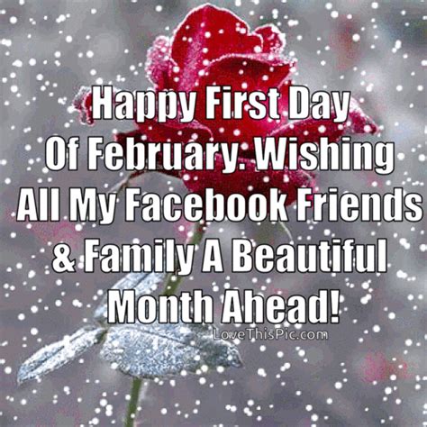 A Red Rose With The Words Happy First Day Of February Wishing All My