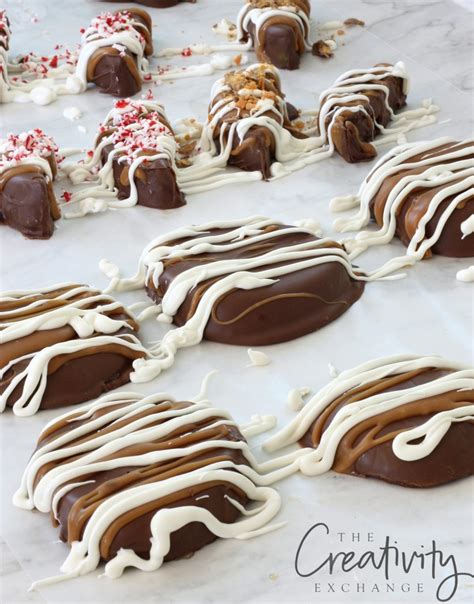 Chocolate Covered Caramel Apple Slices And Wedges