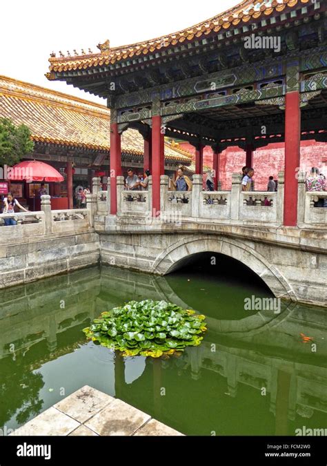 Imperial Garden Of The Forbidden City Beijing China Stock Photo Alamy