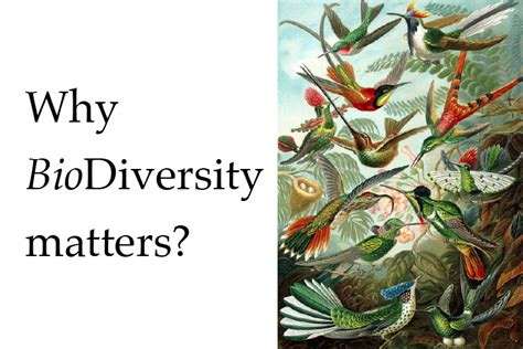 Why Biodiversity Matters Events