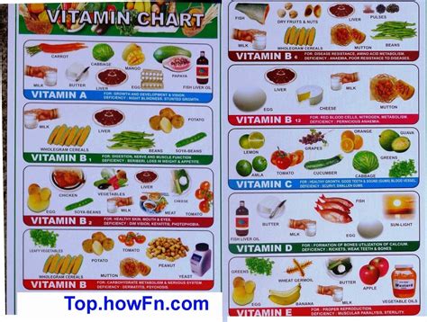 I have shared lot of healthy reci. विटामिन ई के फायदे कमी के लक्षण रोग vitamin E deficiency ...