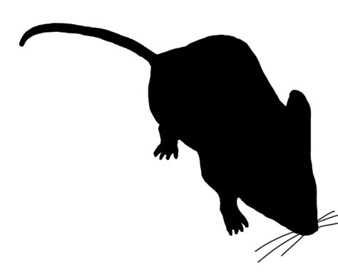 Silhouette Clipart Rat Silhouette Rat Transparent Free For Download On