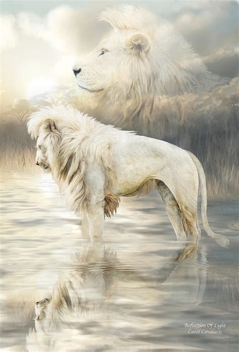 White Lion Reflection Of Light Mixed Media By Carol Cavalaris Fine