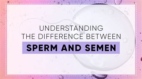 understanding the difference between sperm and semen