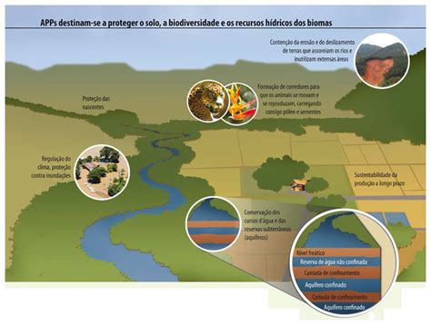 Sobre As áreas De Proteção Ambiental Assinale A Alternativa Correta