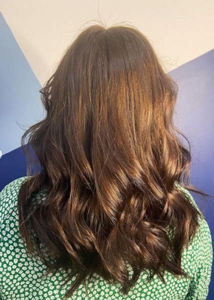 Our range offers light, medium, and dark chestnut shades that all bring shine and warmth to your hair color. Amazing chestnut Hair Color Ideas Always in Trend