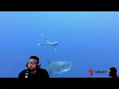 Ocean Ramsey Encounter Giant Ft Great White Shark Reaction Youtube