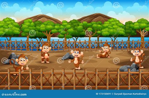 Scene With Group Of Monkey At The Zoo Stock Vector Illustration Of