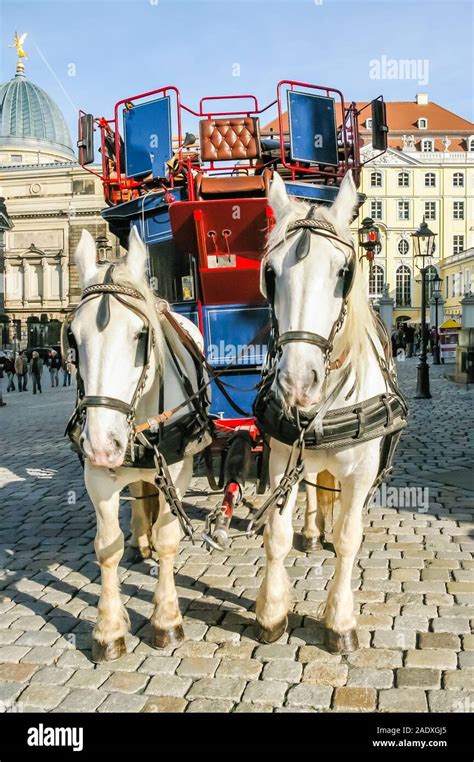 Two Horses Harnessed To The Carriage Dresden Germany Stock Photo Alamy