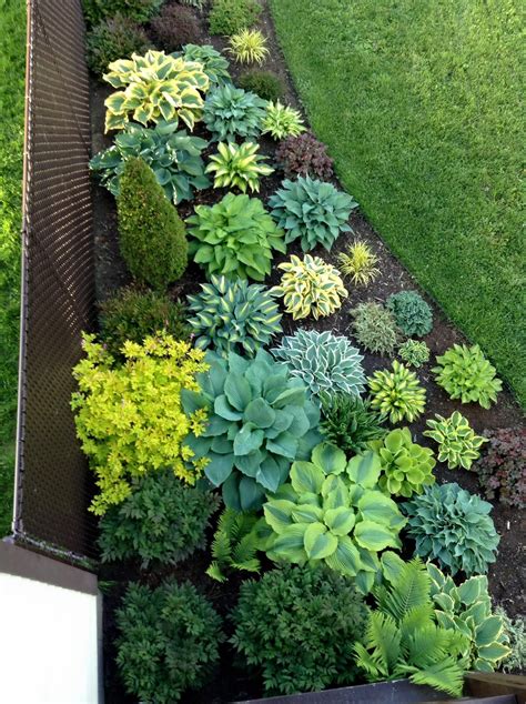 Front Yard Hosta Garden Design Ideas