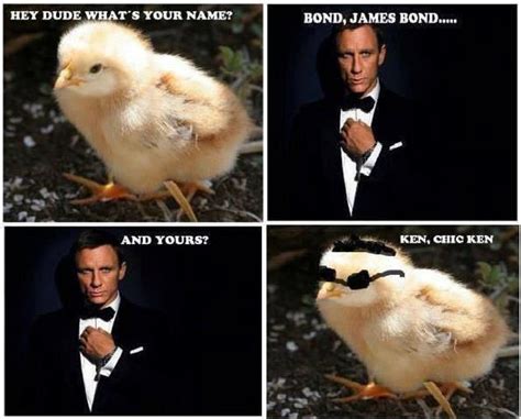 Weitere beiträge von weird_meme___ anzeigen. Funny and cool animal memes