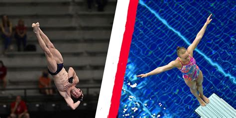 Usa Diving Features Team Usa