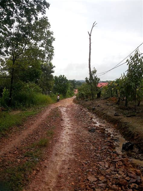 Three forest reserves in kuala lumpur.and bukit dinding in missing in the list.why? NanoNa Blog: Bukit Batu Dinding Kilo 45
