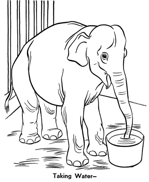 Wildlife world zoo, aquarium & safari park has arizona's largest collection of exotic and endangered animals, with more than 600 separate species, rides, a petting zoo and daily. Elephant Printable Coloring Pages