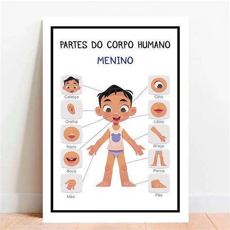 Placa Educacional Partes Do Corpo Humano Menino Parcelado S Juros