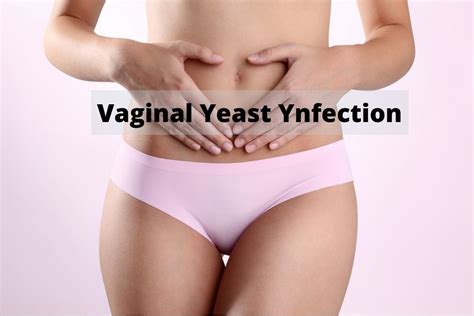 Vaginal Yeast Infection Causes And Solutions Go Lifestyle Wiki My XXX