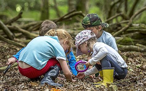 Reading Writing And Mud The Growth Of Forest Schools